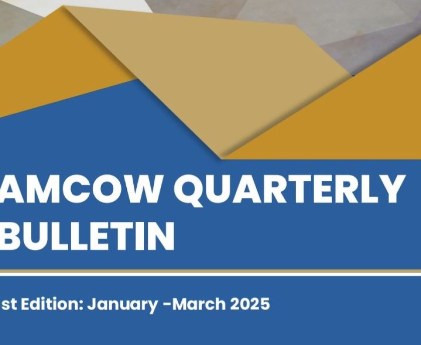 AMCOW-Bulletin-banner-en-2